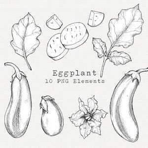 Eggplant PNG Clip Art, Hand Drawn Eggplant Illustration, Vintage Style Art Download, Vegetable Garden Clipart, Line Art, Commercial Use