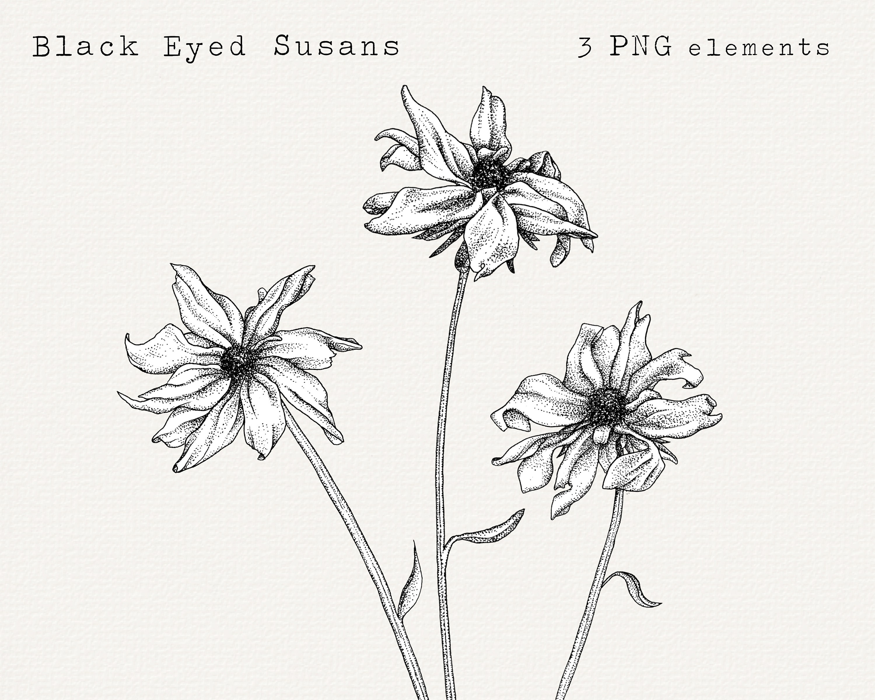 Share 75+ pen sketches of flowers - in.eteachers