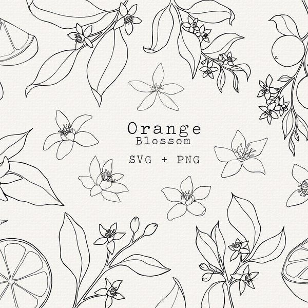 Orange Blossom SVG Bundle, Orange Botanical Illustration for Commercial Use, Cut File for Cricut, Silhouette, Simple Line Art, Tattoo, Plant
