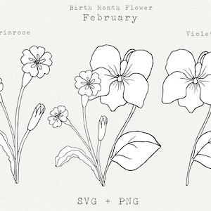 SVG fiore di primula, SVG fiore viola, fiori del mese di nascita di febbraio, fiore di compleanno di febbraio, clipart di arte floreale, file di taglio Cricut