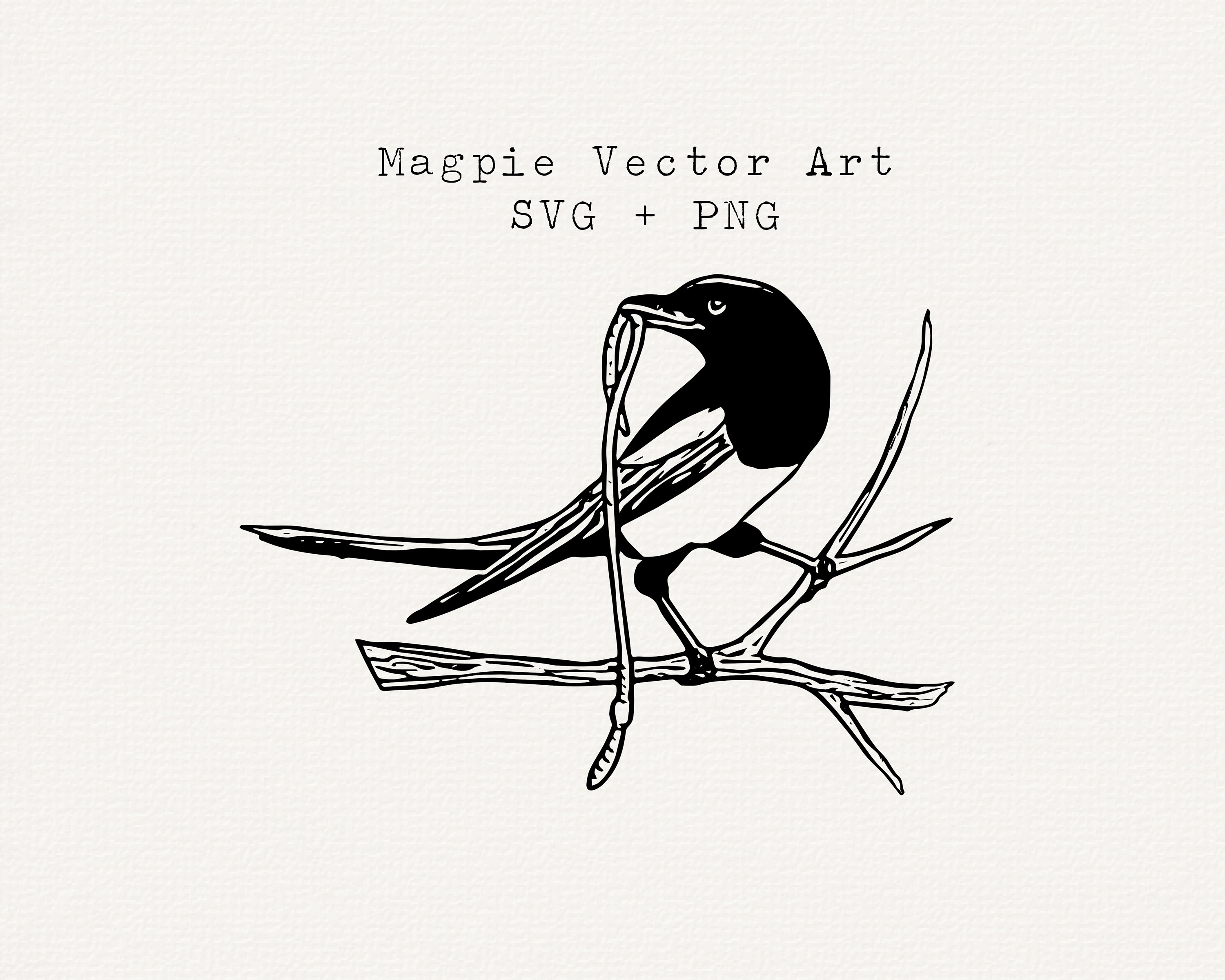 Magpie SVG, Magpie Clipart, Magpie Drawing, Bird Vector, Cricut File, Laser  Cutting, Engraving File, Cameo Silhouette File, Sticker Design - Etsy Sweden