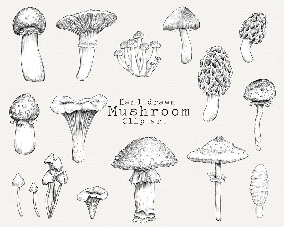 Mushroom Clip Art, Black and White Mushroom Clip Art, Mushroom PNG for