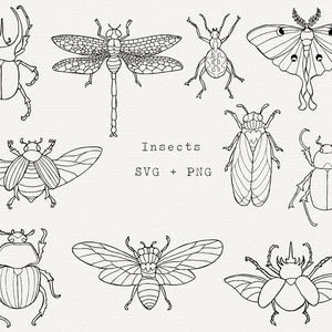 Insecte SVG, lot de insectes SVG, clipart insecte, scarabée, papillon de nuit, cigale, dessin au trait, contour, fichier de coupe pour Cricut, mystique, sorcière