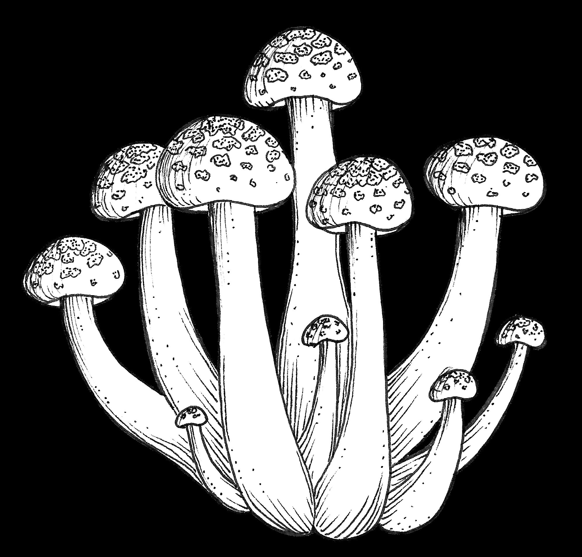 Mushroom Clip Art Black and White Mushroom Clip Art Mushroom | Etsy