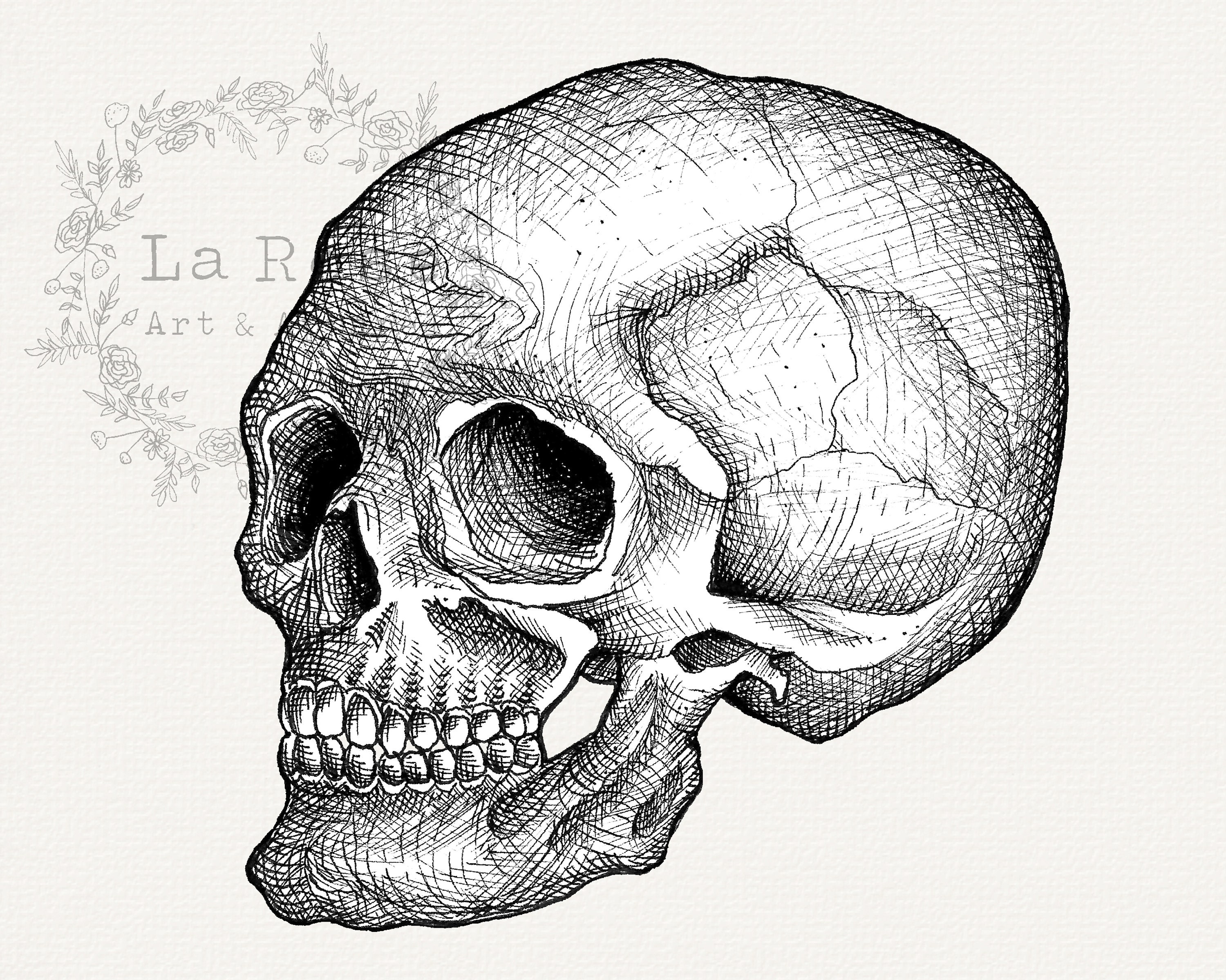 Skull Clip Art, Hand Drawn Skull PNG, Realistic Skull Drawing