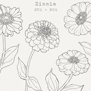 Zinnia SVG-bundel, bloemenillustratie voor commercieel gebruik, bloem gesneden bestand voor Cricut, Zinnias Simple Line Art, tekening downloaden