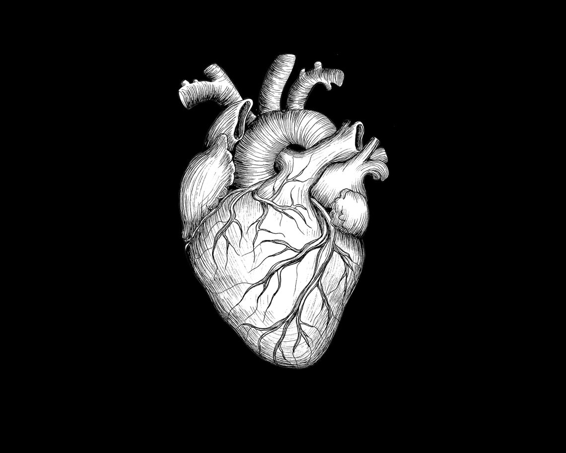 Anatomical Heart Clip Art Hand Drawn Heart Clipart Heart | Etsy