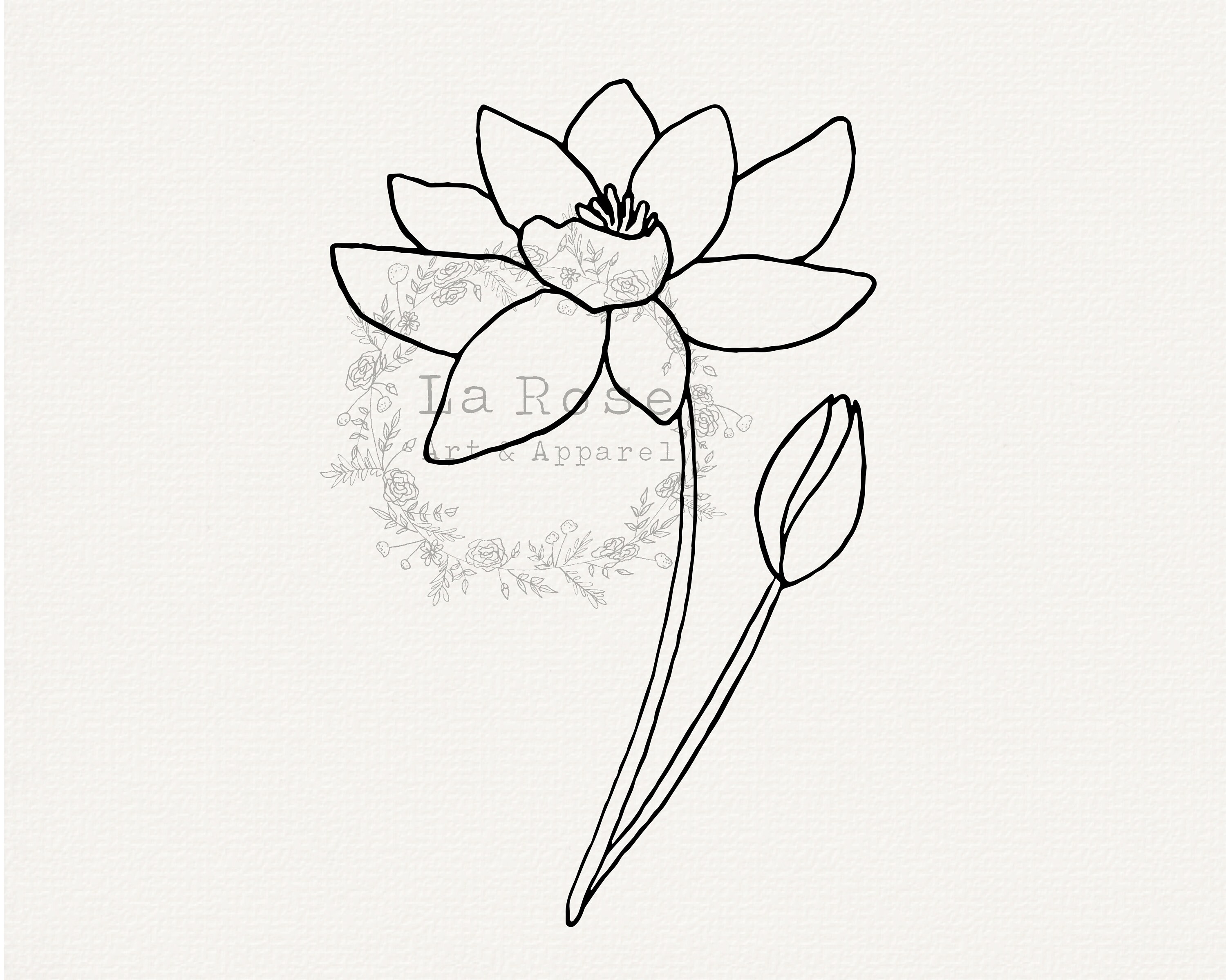Water Lily Svg Lilly Pad Svg Larkspur Svg July Birth Month Etsy