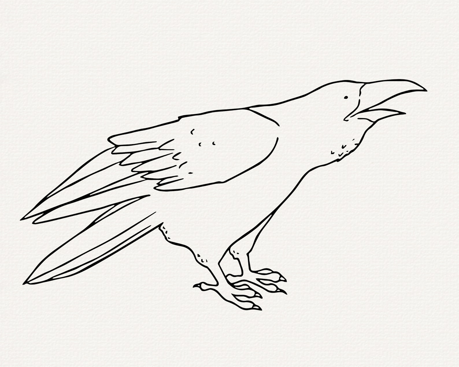 Raven Line Form Raven Line Art SVG Bundle, Bird Outline (commercial Use) - Etsy
