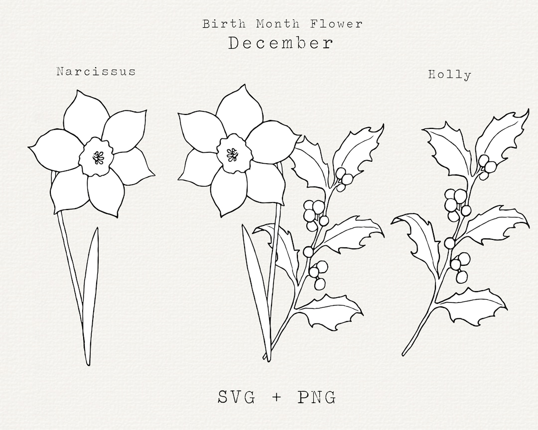 20 Amazing December Birth Flower Tattoo Ideas  EntertainmentMesh