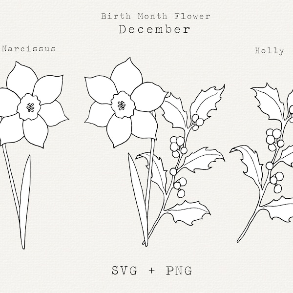 Holly SVG, Narcissus Flower SVG, December Birth Month Flowers, December Birthday Flowers Clip Art, Floral Line Art, Flower Outline, Cut File