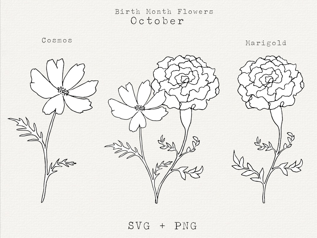 Marigold & Cosmos Tattoo Design