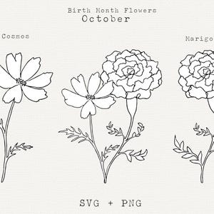 Flor de caléndula SVG, Flor de cosmos SVG, Flores del mes de nacimiento de octubre, Flores de cumpleaños de octubre, Dibujado a mano, Clip Art de arte lineal floral, Contorno