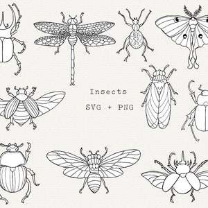 Insect SVG, Insects SVG Bundle, Insect Clipart, Scarab Beetle, Luna Moth, Cicada, Line Art, Outline, Cut File for Cricut, Mystical, Witchy