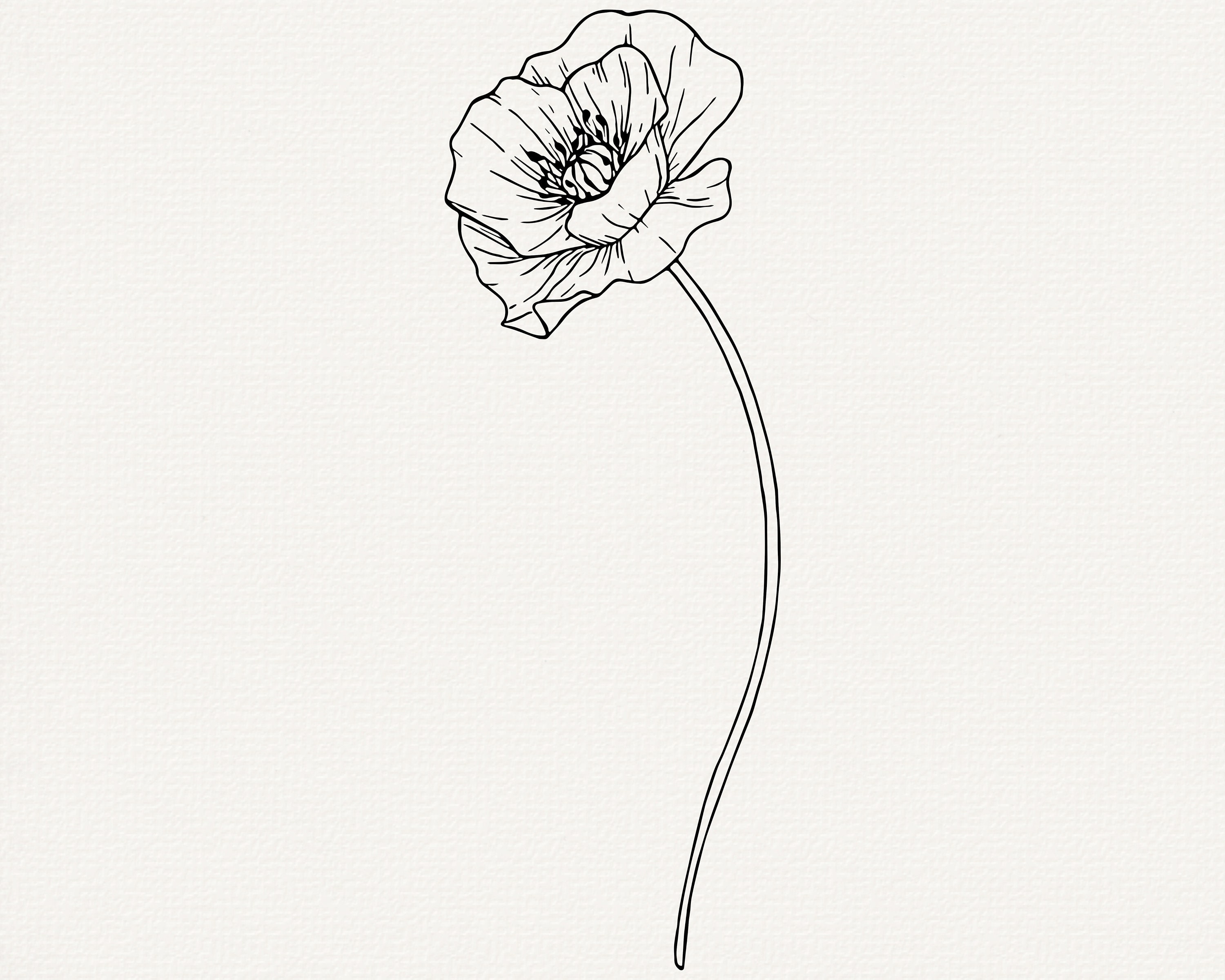 Poppy Inlines Poppy Line Art SVG: Floral Outline Vector Clip Art (commercial Use) - Etsy
