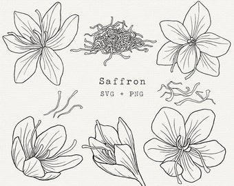 Saffron SVG Clip Art, Commercial Use, Saffron Flower Vector Illustration, Botanical Line Art, Saffron Drawing, Cricut Cut File