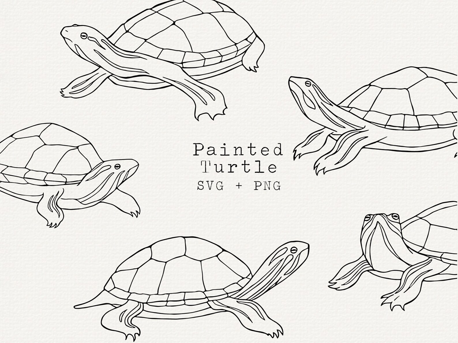 Painted Turtle SVG Bundle, Illustration for Commercial Use, Cut File ...