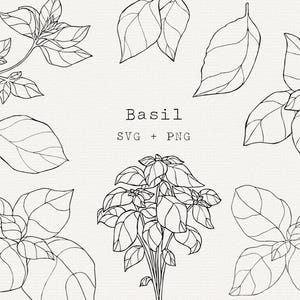 Basil SVG Clip Art, Uso Comercial, Ilustração Vetorial De Planta De Manjericão, Arte De Linha De Ervas, Desenho De Manjericão, Jardim De Ervas, Cozinha, Elementos Gráficos