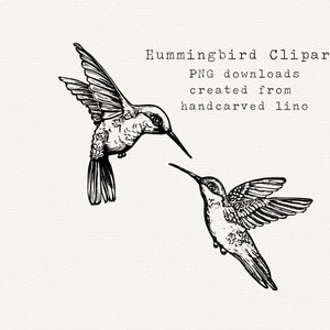 Hummingbird Clipart, Hand Drawn Hummingbird PNG, Black Outline, Line Art, Instant Download, Digital Download, Commercial Use, Summer Clipart