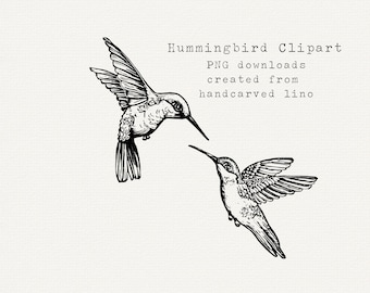 Hummingbird Clipart, Hand Drawn Hummingbird PNG, Black Outline, Line Art, Instant Download, Digital Download, Commercial Use, Summer Clipart