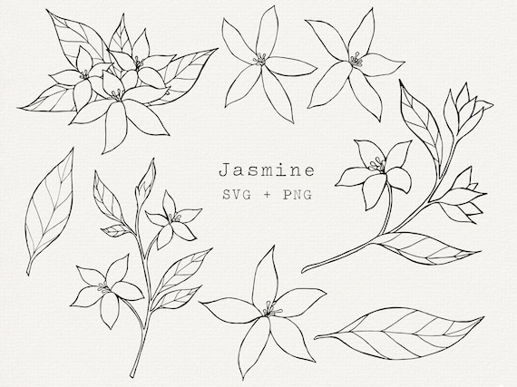 花の線描 風に揺れる花の線描イラスト - No: 25183366｜無料イラスト・フリー