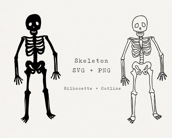 Skeleton SVG Skeleton Silhouette Clip Art Skeleton Line Art - Etsy