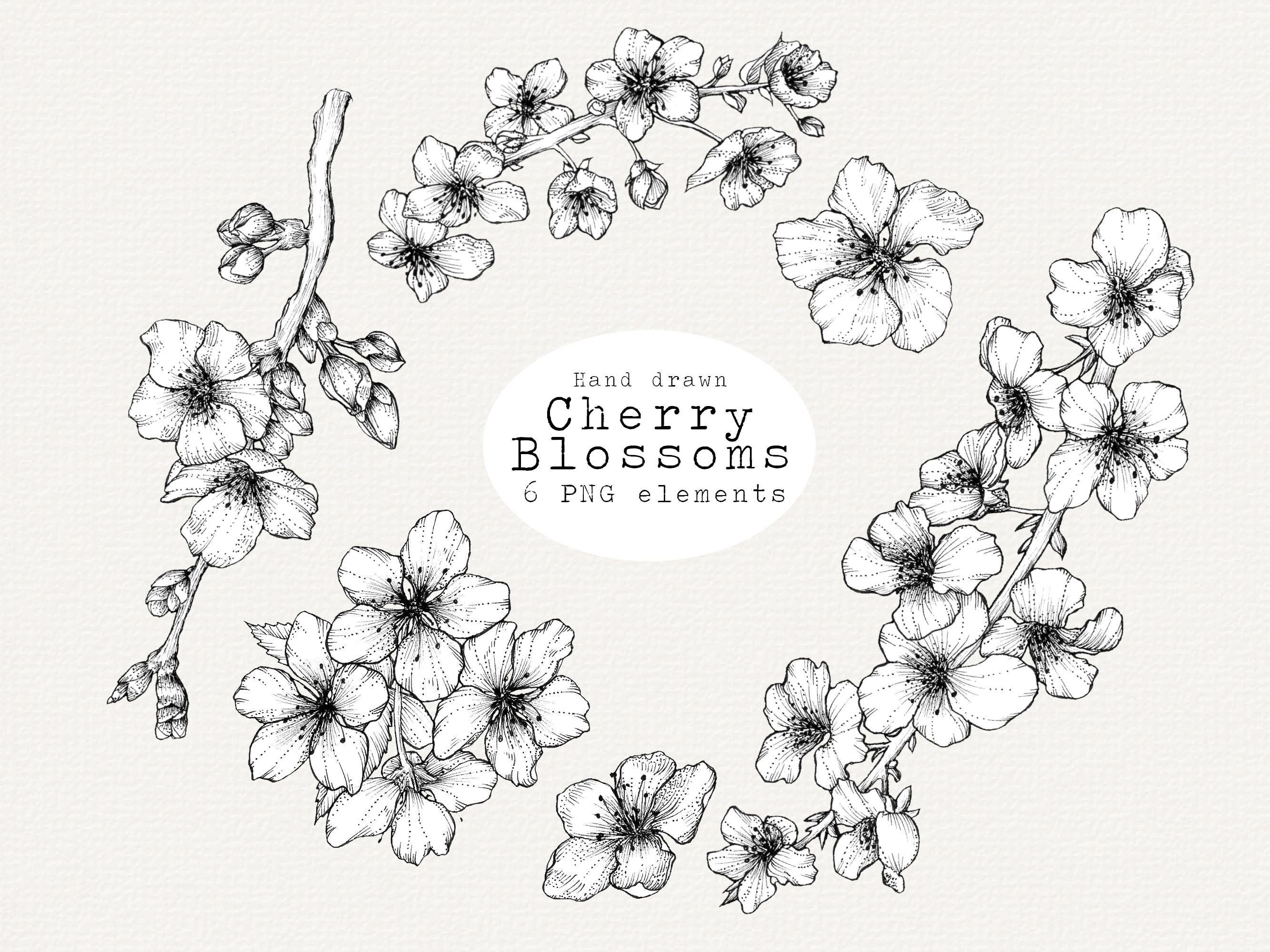 Cherry Blossom Clipart, Hand Drawn Japanese Sakura PNG, Line Art for Wedding, Stationary, Tattoo, Logo, Commercial Use Illustration - Etsy Cherry Blossom Clipart, Hand Drawn Japanese Sakura PNG, Line Art for Wedding, Stationary, Tattoo, Logo, Commercial Use Illustration - Etsy