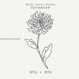 Chrysanthemum SVG, Chrysanthemum Flower Hand Drawn Clipart, November Birth Month Flower, Birthday Flower, Cricut Cut File, Floral Line Art