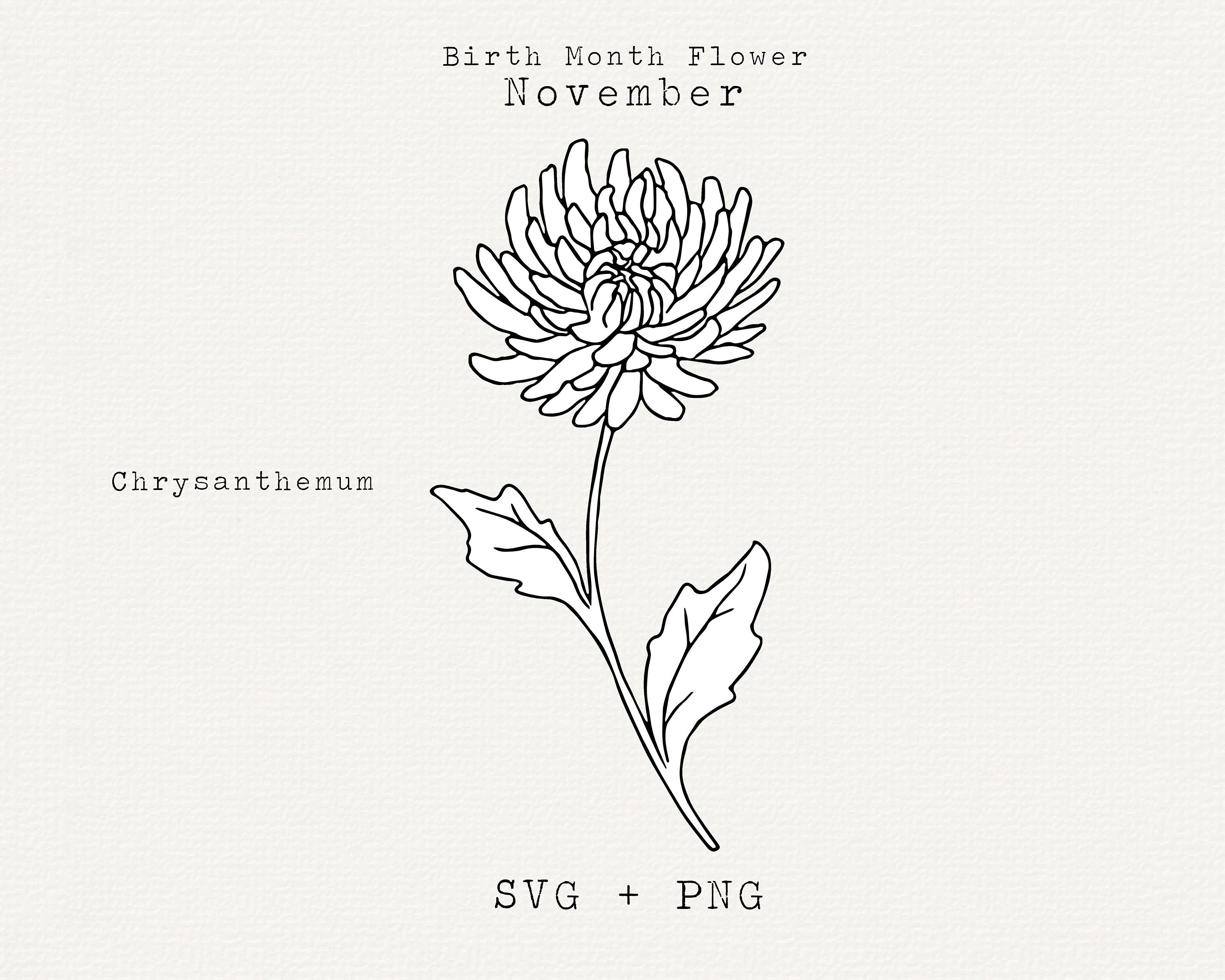 Chrysanthemum SVG, Chrysanthemum Flower Hand Drawn Clipart