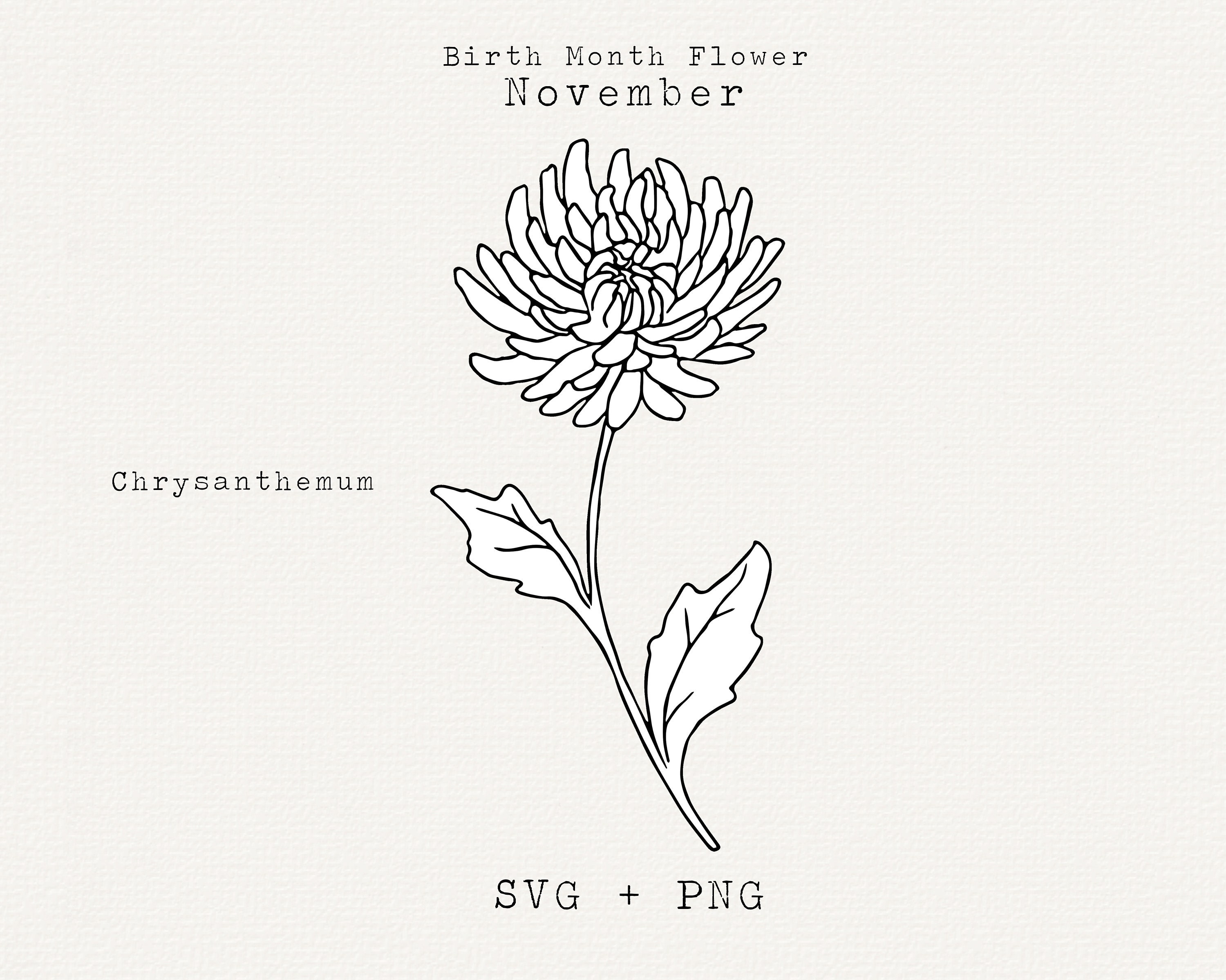 Chrysanthemum SVG Chrysanthemum Flower Hand Drawn Clipart - Etsy