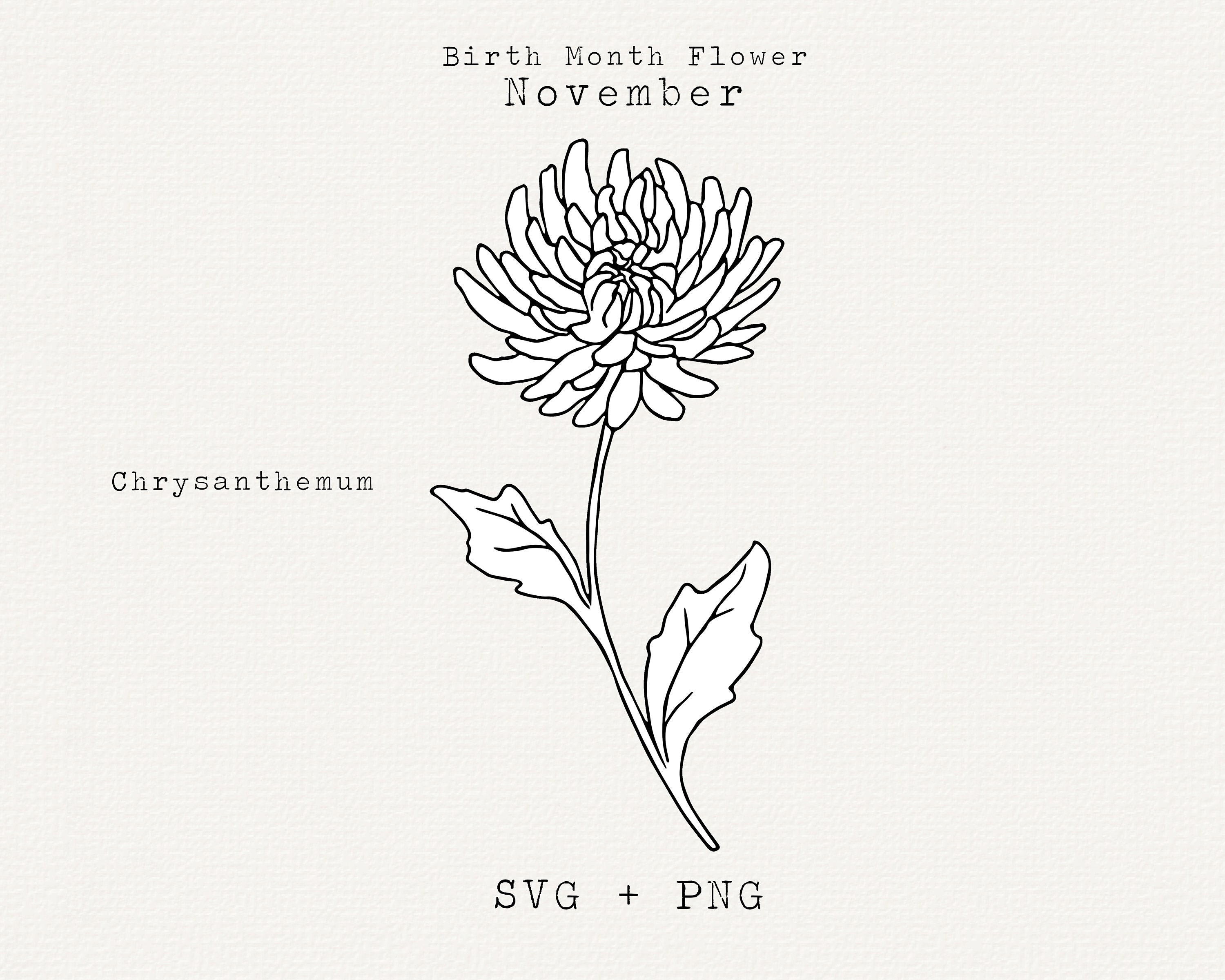 Chrysanthemum SVG, Chrysanthemum Flower Hand Drawn Clipart, November Birth  Month Flower, Birthday Flower, Cricut Cut File, Floral Line Art 