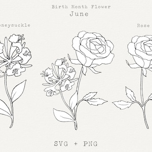 Rosa SVG, Madreselva SVG, Flores del mes de nacimiento de junio, Flores de cumpleaños de junio, Archivo de corte Cricut, Clip Art de arte lineal floral, Flores de verano PNG