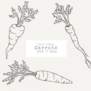 Carotte SVG, SVG Pâques, carotte Clipart, SVG légume, dessin au trait moderne, clipart végétalien, jardin des cliparts, clipart nourriture, carotte couper fichier