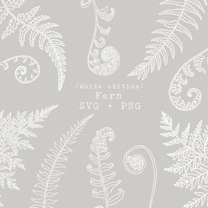 Fougère blanche SVG Bundle, clipart de feuilles de fougère, PNG botanique dessiné à la main, pour faire-part de mariage, papeterie décoration, dessin au trait blanc