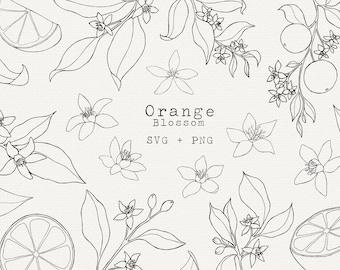 Orange Blossom SVG Bundle, Orange Botanical Illustration for Commercial Use, Cut File for Cricut, Silhouette, Simple Line Art, Tattoo, Plant