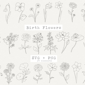 Geboortemaand bloem SVG-bundel, verjaardagsbloem, bloem clipart, bloemen SVG bundel, botanische clipart png, hand getrokken, gesneden bestand voor Cricut