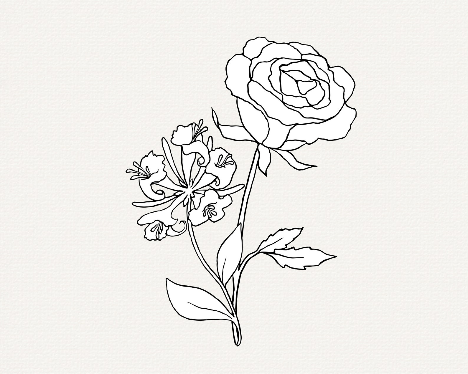 Rose SVG Honeysuckle SVG June Birth Month Flowers Birthday - Etsy