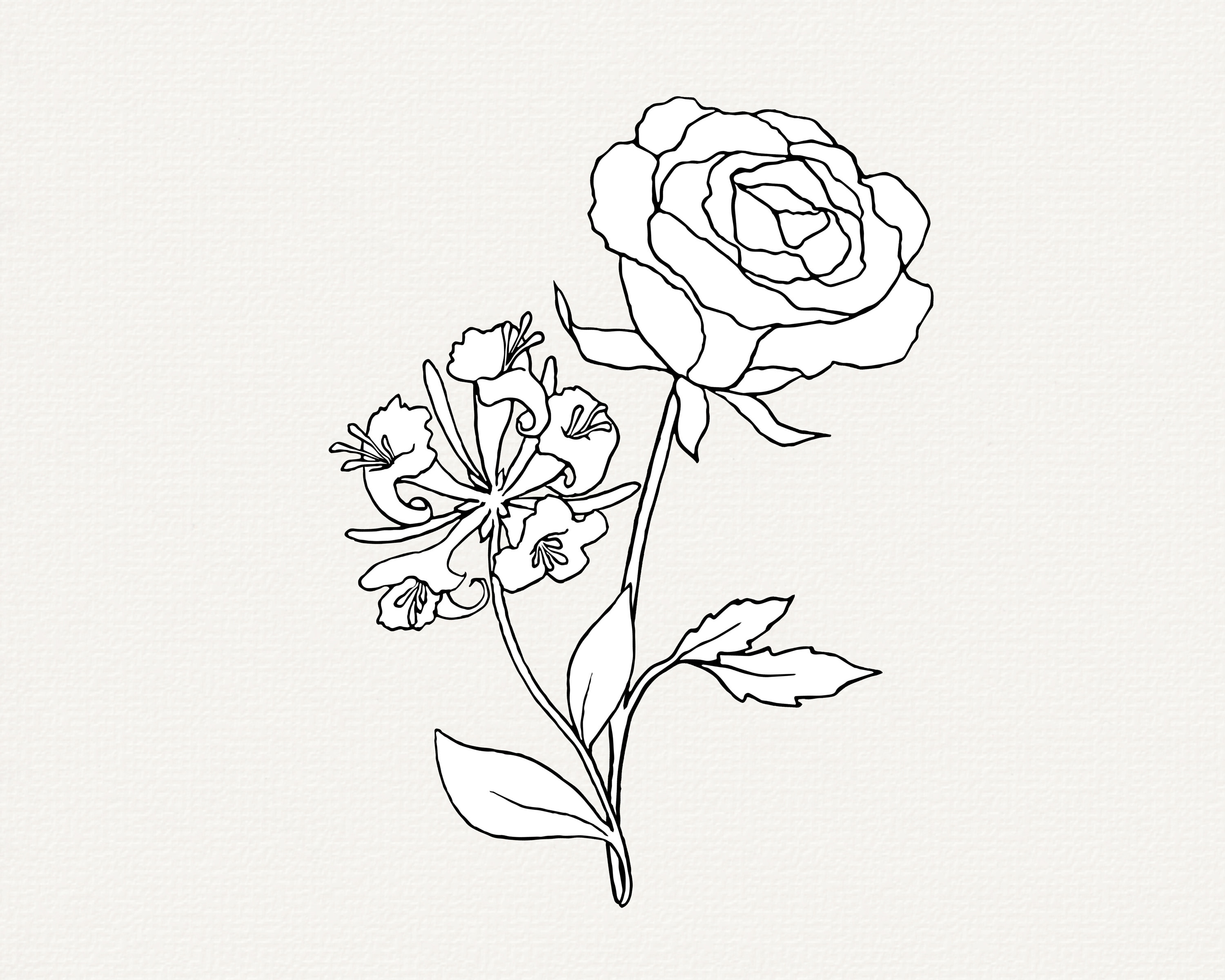 Rose SVG Honeysuckle SVG June Birth Month Flowers Birthday Etsy