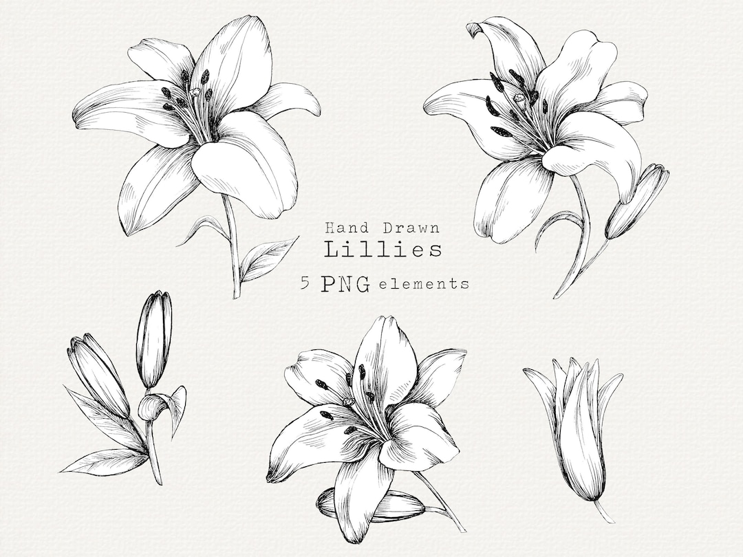 『百合リリー』ユリの花 墨絵アート 水墨画 インテリアアート 雑貨ギフト 絵画 5,500『Pure Lilies〜百合リリー』ユリの花 墨絵アート 水墨画
