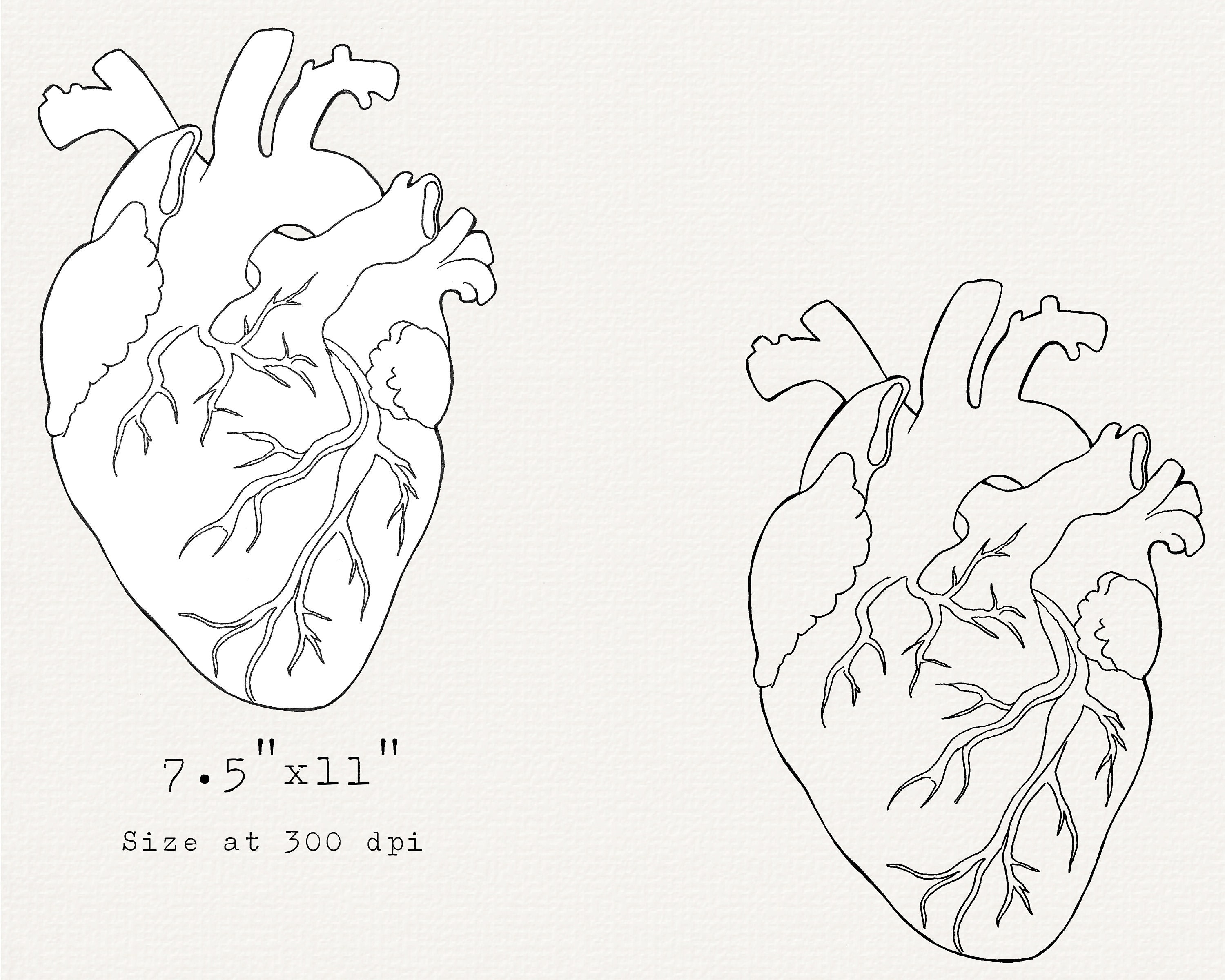 Real Heart Clipart Black And White