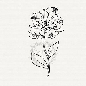 May include: A black and white line drawing of a honeysuckle flower with five petals. The flower is on a stem with two leaves.