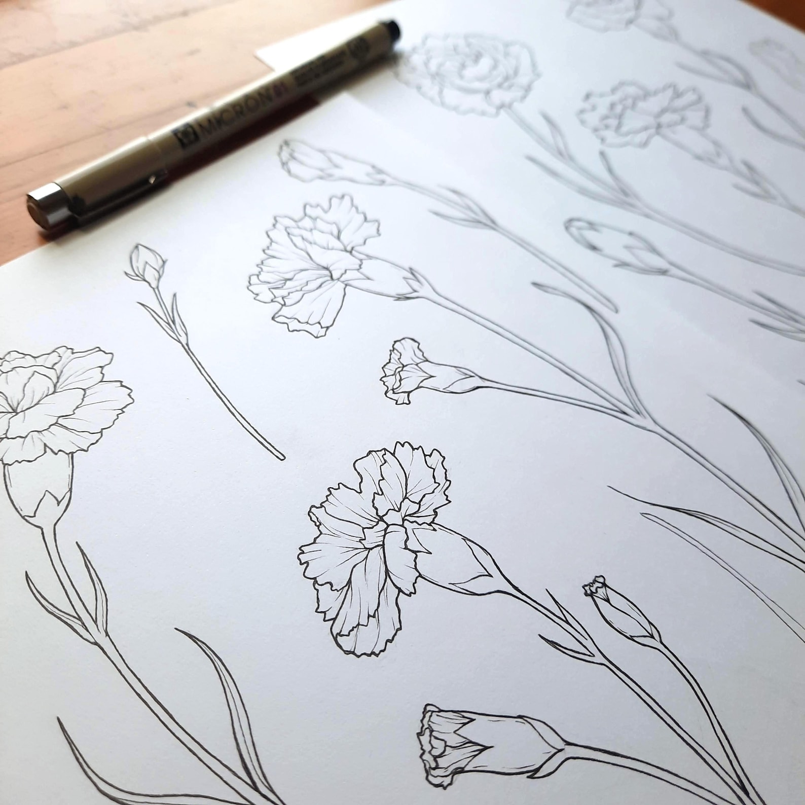 Hand Drawn Carnation Flower Line Art Clipart (PNG) - Etsy Canada