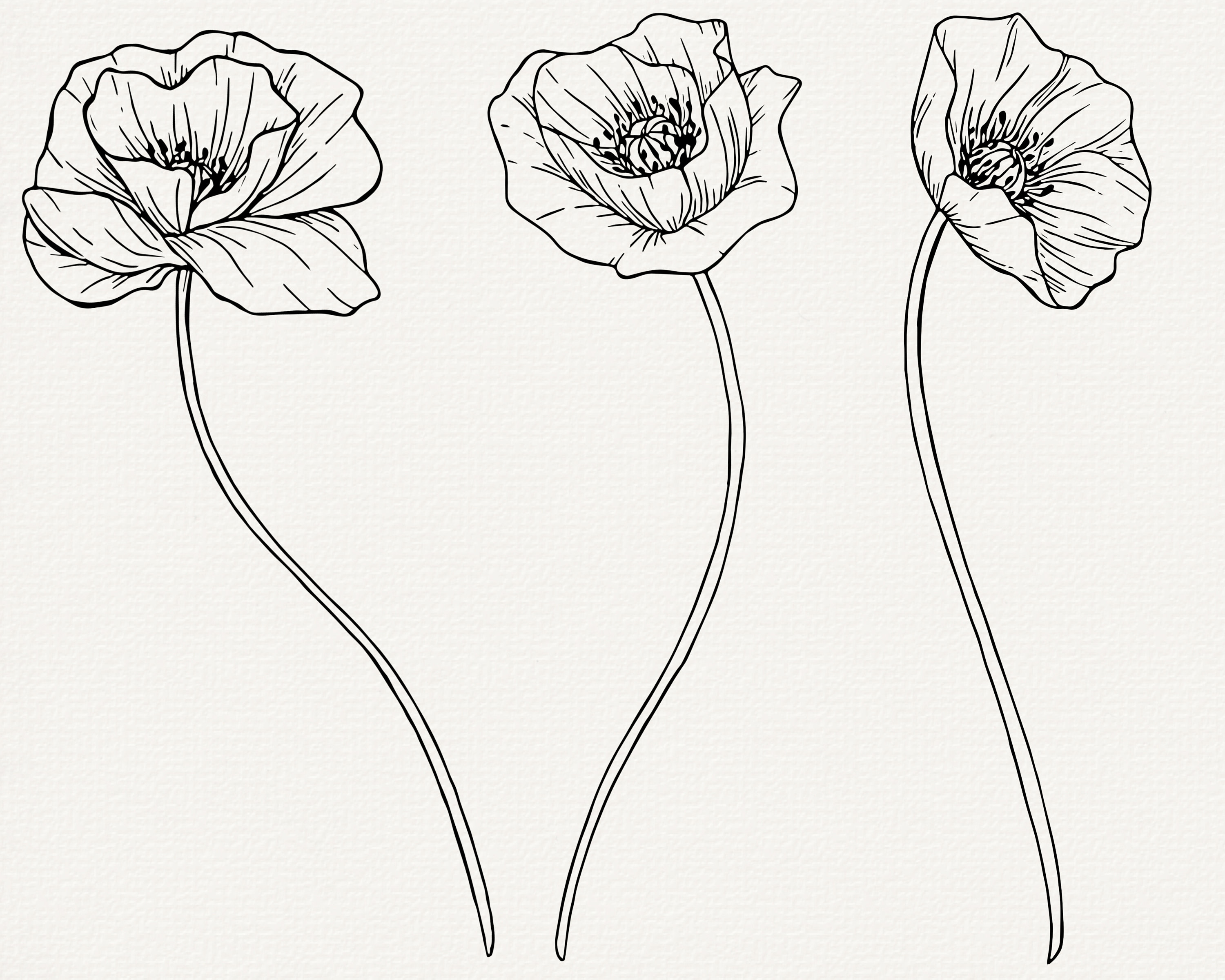 Poppy Inlines Poppy Line Art SVG: Floral Outline Vector Clip Art (commercial Use) - Etsy
