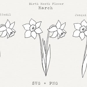 Jonquille SVG, jonquille SVG, fleurs du mois de naissance de mars, fleurs d'anniversaire de mars, clipart fleur de printemps, dessin au trait floral PNG, fichier de coupe Cricut