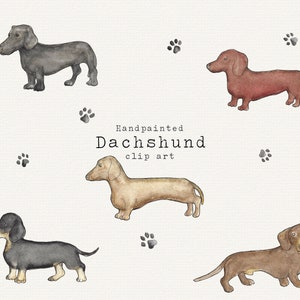 Dachshund Clipart, Dachshund Watercolor Clipart, Hand Painted Dachshund Graphics, Dachshund Pattern Instant Download for Commercial Use, PNG