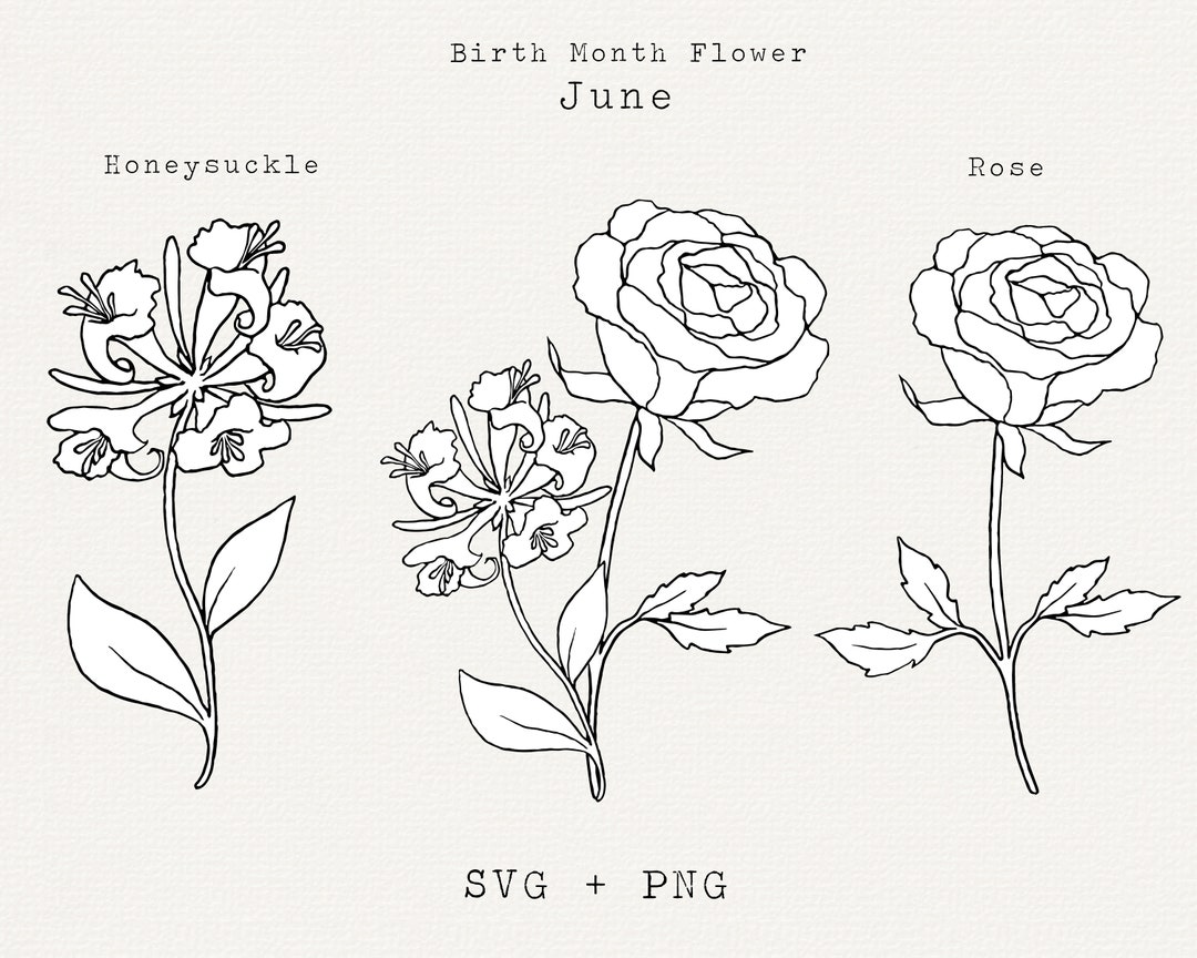 Rose SVG Honeysuckle SVG June Birth Month Flowers Birthday - Etsy Rose SVG Honeysuckle SVG June Birth Month Flowers Birthday - Etsy