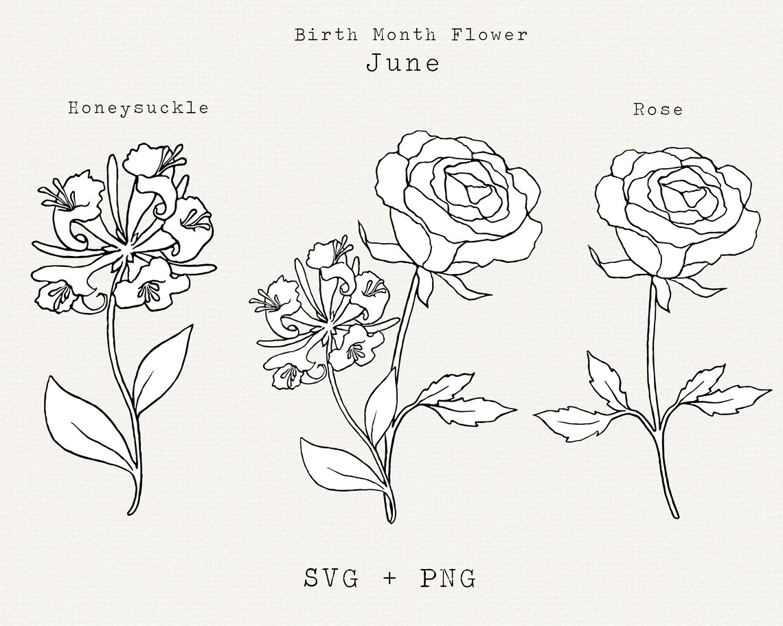 Rose SVG Honeysuckle SVG June Birth Month Flowers Birthday Etsy
