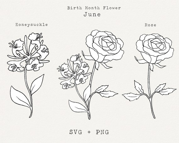 June Birth Month Flower  Rose Sticker by ekwdesigns  Birth flower tattoos  Birth month flowers Rose flower tattoos