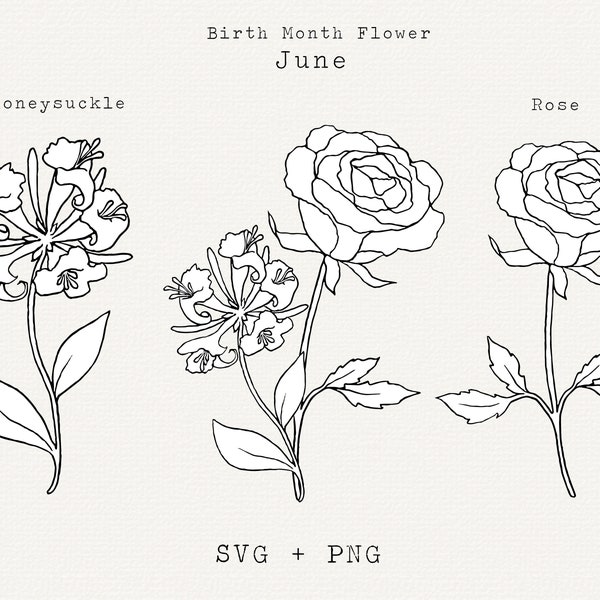 Rose SVG, Honeysuckle SVG, June Birth Month Flowers, Birthday Flowers June, Cricut Cut File, Floral Line Art Clip Art, Summer Flowers PNG