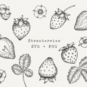 Strawberry SVG, Hand Drawn Strawberry Vector for Labels, Cricut Cut File, Logo, Stickers, Berries, Black and White Line Art, Rustic Clipart